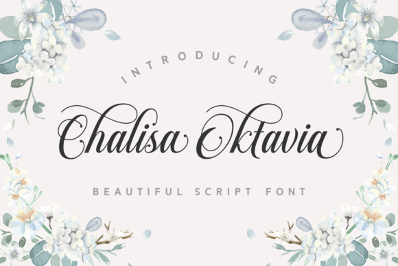 Chalisa Oktavia: A Script Font for Elegance and Readability