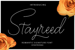 Stayreed: A Beautiful Calligraphy Font for Modern Designers